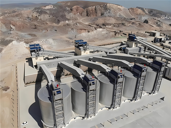 天心水泥钢板仓