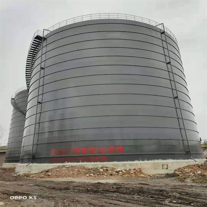 天心3万吨大型钢板库